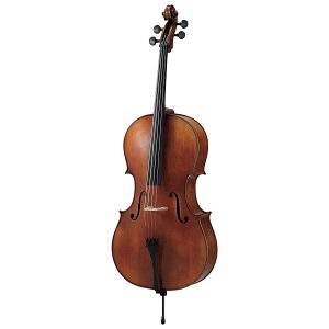 �y5����10���̓G���g���[�ł����P5�{�zNicolo Santi NSC190/SAY 4/4 �`�F���Z�b�g �j�R���T���e�B