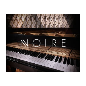 Native Instruments (NI) Noire �l�C�e�B�u�C���X�g�D�������c [���[���[�i ������s��]