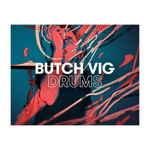 Native Instruments (NI) Play Series - Butch Vig �l�C�e�B�u�C���X�g�D�������c [���[���[�i ������s��]