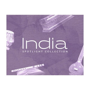 Native Instruments (NI) India �l�C�e�B�u�C���X�g�D�������c [���[���[�i ������s��]