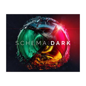 Native Instruments (NI) Schema - Dark �l�C�e�B�u�C���X�g�D�������c [���[���[�i ������s��]