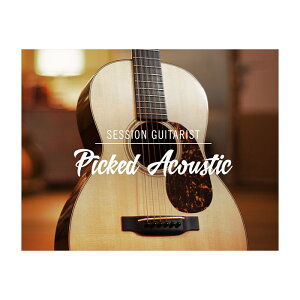 Native Instruments (NI) Session Guitarist - Picked Acoustic �l�C�e�B�u�C���X�g�D�������c [���[���[�i ������s��]