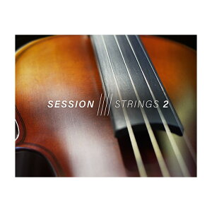 Native Instruments (NI) Session Strings 2 �l�C�e�B�u�C���X�g�D�������c [���[���[�i ������s��]