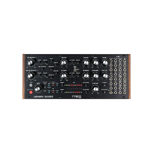 moog Labyrinth ���r�����X �A�i���O�V���Z�T�C�U�[ �Z�~���W�����[�V���Z ���[�O
