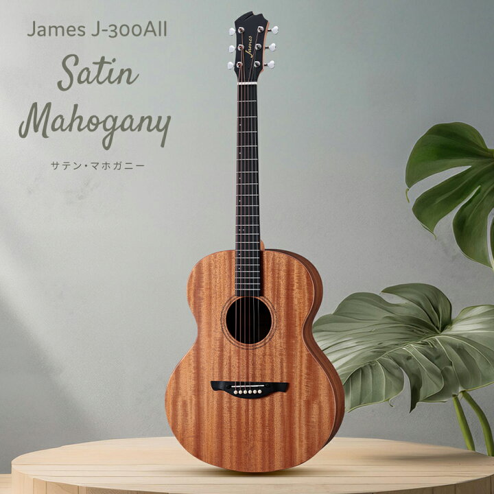 楽天市場】James J-300AII 単品・初心者12点セット アコースティック 