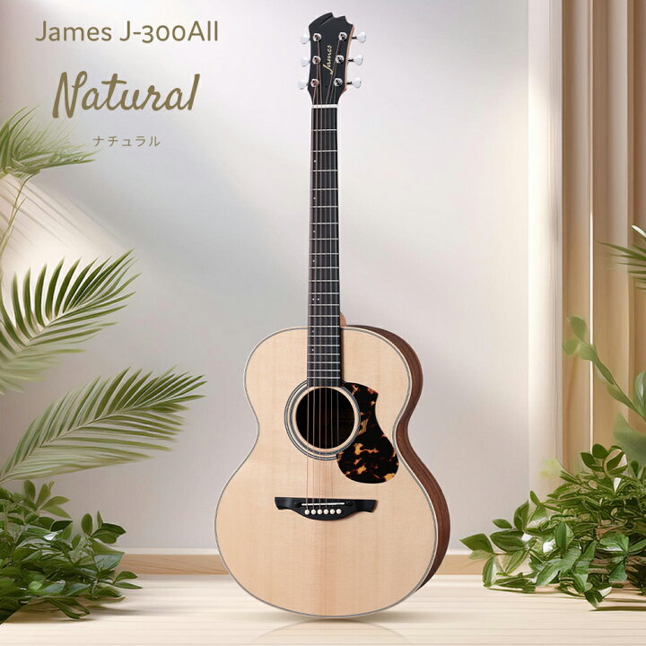 楽天市場】James J-300AII 単品・初心者12点セット アコースティック 