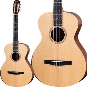 Taylor Academy 12-N NVbNM^[ KbgM^[ eC[