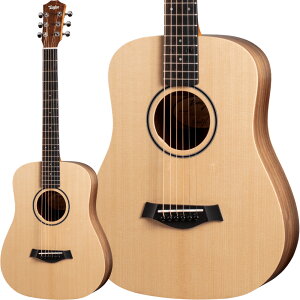 Taylor BT1 ~jAR[XeBbNM^[ eC[