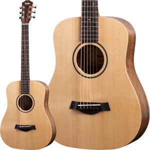 Taylor BT1e GAR ~jAR[XeBbNM^[ eC[