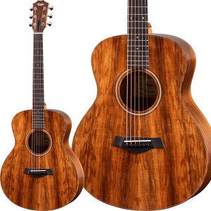 Taylor GS Mini-e Koa GARM^[ eC[