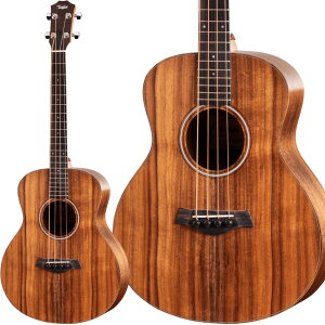 Taylor GS Mini-e Koa Bass �G���A�R�x�[�X �A�R�[�X�e�B�b�N�x�[�X �e�C���[