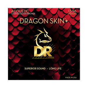 DR DRAGON SKIN+ 80/20uY ~fBA 013-56 AR[XeBbNM^[ fB[A[ DA8-13
