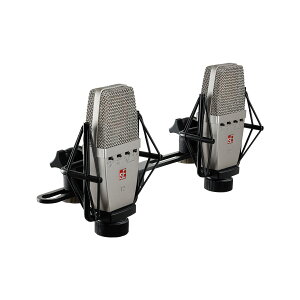 sE ELECTRONICS T2 PAIR }b`hEyA RfT[}CN sEGNgjNX