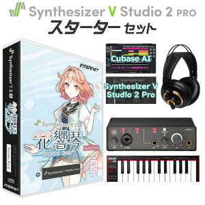 yyVX[p[SALE Gg[P5{z INTERNET Synthesizer V 2 AI ԋ  S҃X^[^[Zbg \tg CV:Ԃꂨ C^[lbg SSV-HKH1SP