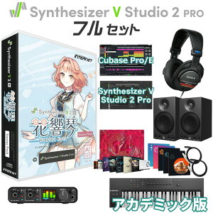 yyVX[p[SALE Gg[P5{zywE芄z INTERNET Synthesizer V 2 AI ԋ  S҃tZbg AJf~bN \tg CV:Ԃꂨ C^[lbg SSV-HKH1SP