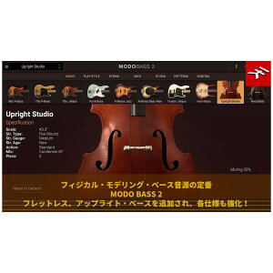 �y�}���\�����Ԓ� �G���g���[�ł����P5�{�z IK Multimedia MODO BASS 2 �A�b�v�O���[�h�� �\�t�g���� IK�}���`���f�B�A [���[���[�i ������s��]