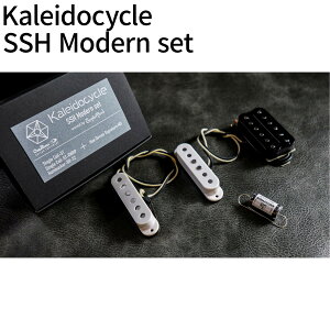 �y5����10���̓G���g���[�ł����P5�{�zOvaltone Kaleidocycle Pickup SSH Traditional set SSH �s�b�N�A�b�v�Z�b�g + �K�f�o�C�X �I�[�o���g�[��