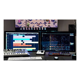 【5日と10日はエントリーでさらにP5倍】steinberg SpectraLayers Elements 12 通常版 スタインバーグ 1334-1135[メール納品 代引き不可]