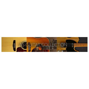 �y�G���g���[�ōő�10���|�C���g������zAcoustic Samples AS Guitar Collection �\�t�g���� �M�^�[���� �A�R�[�X�e�B�b�N�T���v��[���[���[�i ������s��]