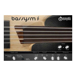 Acoustic Samples Bassysm-F \tg x[XM^[ 5tbgXGLx[X AR[XeBbNTv[[[i s]