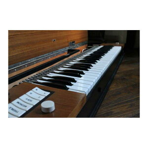 Acoustic Samples Clavi D9 �\�t�g���� �N���r�l�b�g���� Hohner Clavinet D6 �A�R�[�X�e�B�b�N�T���v��[���[���[�i ������s��]