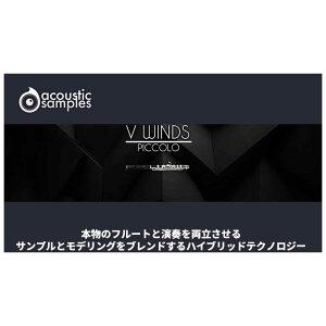 Acoustic Samples VWinds Piccolo \tg sbR AR[XeBbNTv[[[i s]