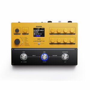 Donner Acoustic Preamp Loop vAv AR[XeBbNM^[p}`GtFN^[ GAR [p[ hi[
