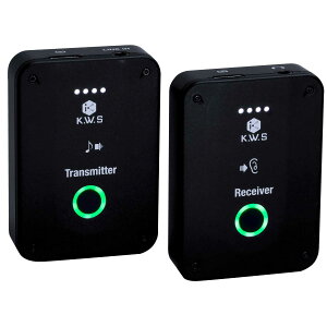 K.W.S KWS-EM1 ���C�����X�C���C���[���j�^�[�V�X�e��