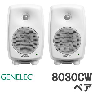 [ʌ] GENELEC 8030CW (zCg) yA X^WIj^[Xs[J[ p[hXs[J[ WFlbN