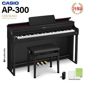 CASIO AP-300BK ubNEbh dqsAm ZBA[m 88 JVI yzݒuzysz