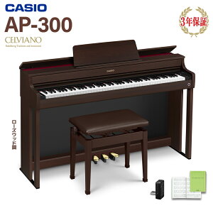 CASIO AP-300BN [YEbh dqsAm ZBA[m 88 JVI yzݒuzysz