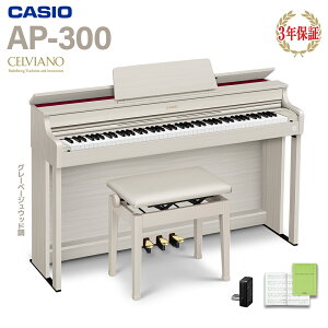CASIO AP-300GB O[x[WEbh dqsAm ZBA[m 88 JVI yzݒuzysz