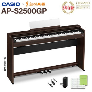y10/26 wbhzv[gIz CASIO AP-S2500GP/BN dqsAm ZBA[m 88 JVI yzݒuzysz yyz