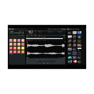 steinberg Groove Agent 5 AJf~bN ŐVo[W Ki X^Co[O 1334-1087[[[i s]