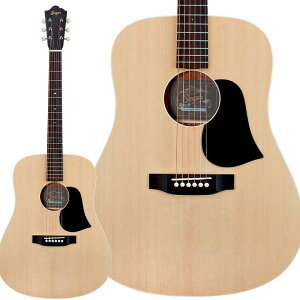 aNueNue D01 AR[XeBbNM^[ gbvP hbhm[g P[Xt AkGkG Singer Guitars