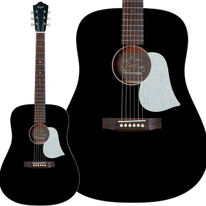 aNueNue D01 Black (ubN) AR[XeBbNM^[ gbvP hbhm[g P[Xt AkGkG Singer Guitars