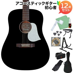 aNueNue D01 Black (ubN) AR[XeBbNM^[S12_Zbg gbvP hbhm[g AkGkG Singer Guitars