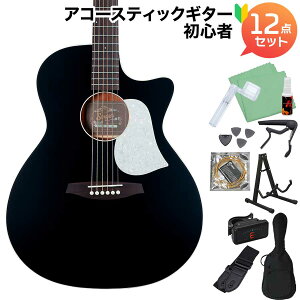 aNueNue GA01 Black (ubN) AR[XeBbNM^[S12_Zbg gbvP OhI[fBgA AkGkG Singer Guitars