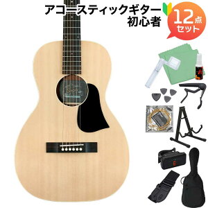 aNueNue P01 AR[XeBbNM^[S12_Zbg gbvP p[[ AkGkG Singer Guitars