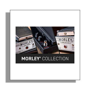 �y5����10���̓G���g���[�ł����P5�{�zIK Multimedia AmpliTube Morley Collection �v���O�C�� IK�}���`���f�B�A [���[���[�i ������s��]