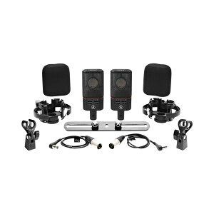 [���Ԍ������] AUSTRIAN AUDIO OC818 black Dual Set Plus �P��w���� �R���f���T�[�}�C�N �I�[�X�g���A���I�[�f�B�I