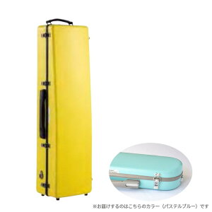 C.C.VCj[P[X CC2-BCLA-PBL/G pXeu[ O[[dl oXNlbgP[X