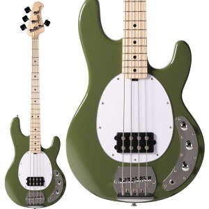 yyVX[p[SALE Gg[P5{z STERLING by Musicman RAY4 Olive Gloss GLx[X yy胂fz X^[