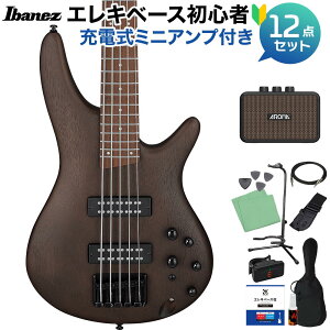 Ibanez SR305EB WNF 5x[XS12_Zbg y[d~jAvtz GLx[X Walnut Flat ACoj[Y