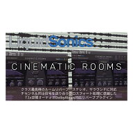 [特価 2026/09/17迄] LiquidSonics Cinematic Rooms (Standard) プラグインエフェクト リクイッドソニッ…