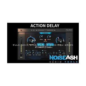 NoiseAsh ACTION DELAY �m�C�Y�A�b�V��[���[���[�i ������s��]