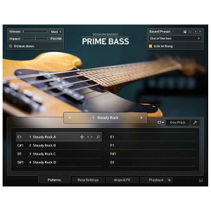 Native Instruments (NI) Session Bassist - Prime Bass lCeBuCXgDc [[[i s]