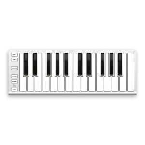 ESI Xkey25 25 MIDIL[{[hRg[[ ^USB C[GXAC