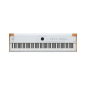 【5日と10日はエントリーでさらにP5倍】ARTURIA Astrolab 88 88鍵盤 シンセサイザー ステージキーボード アートリア