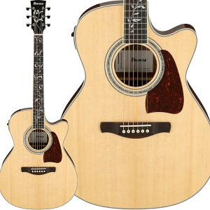 Ibanez AC390CE NT GARM^[ gbvP ACoj[Y